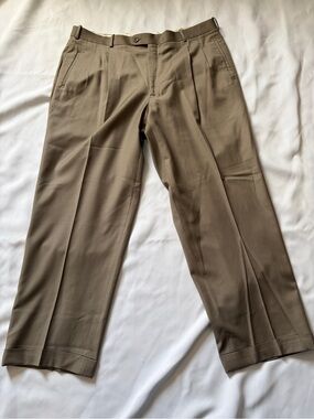 Mens Pleated Chinos in Tan